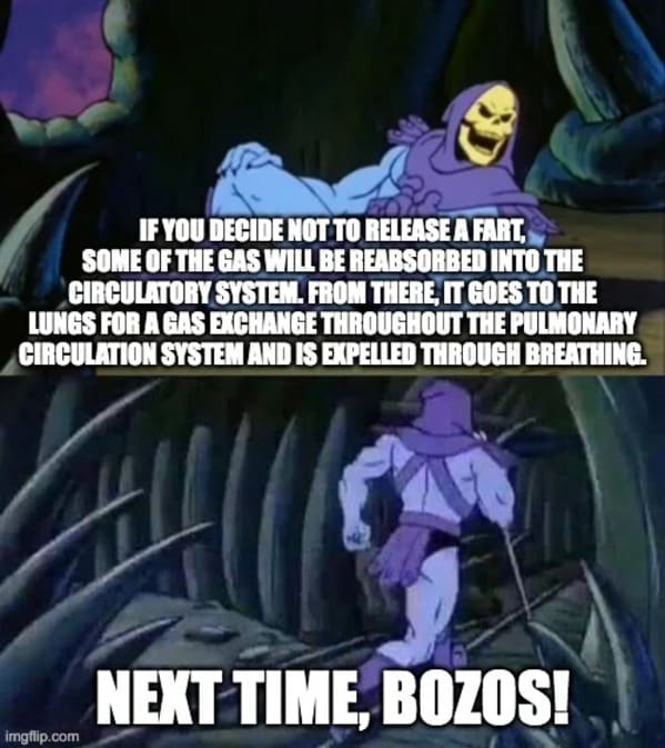 40 Funny Skeletor Memes That'll Make You Laugh Your Bones Off (February 16, 2024) - Jarastyle