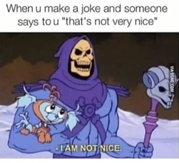 40 Funny Skeletor Memes That'll Make You Laugh Your Bones Off (February 16, 2024) - Jarastyle