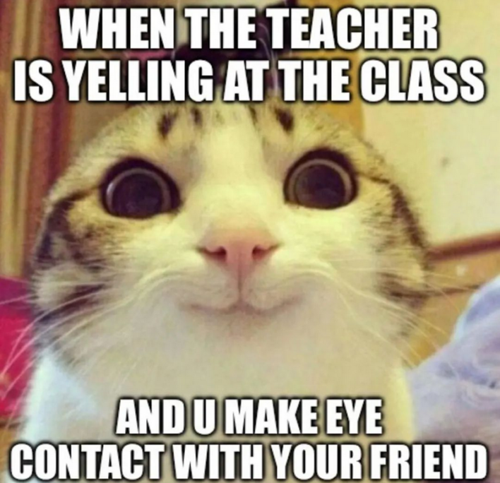 30 Funny Teacher Memes To Send That Special, Beautiful Educator In Your ...