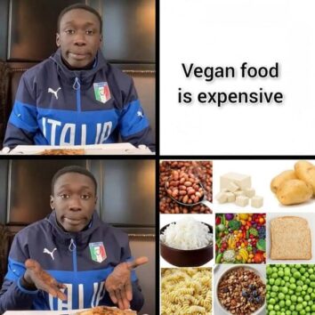 50 Funny Vegan Memes That'll Make You Kale Over Laughing