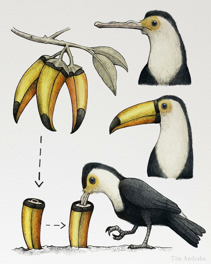 45 Delightfully Silly Scientific Illustrations Of Wildlife From Artist Tim Andraka - Jarastyle