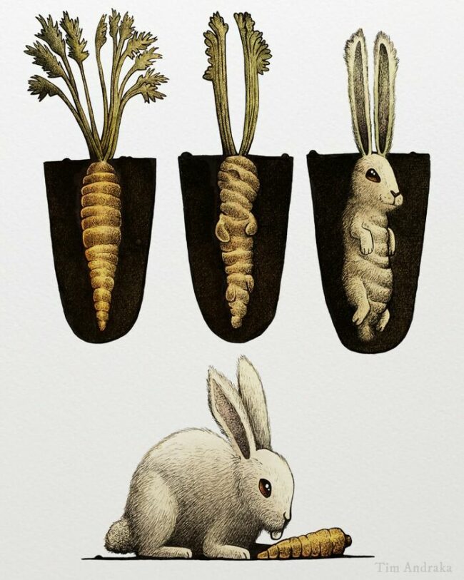 45 Delightfully Silly Scientific Illustrations Of Wildlife From Artist