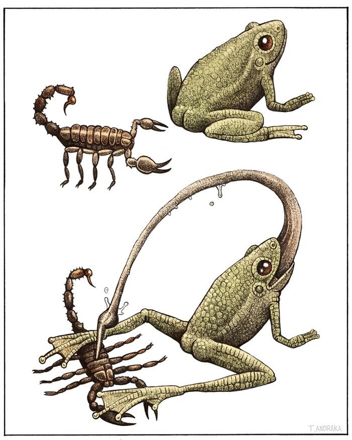 45 Delightfully Silly Scientific Illustrations Of Wildlife From Artist Tim Andraka - Jarastyle