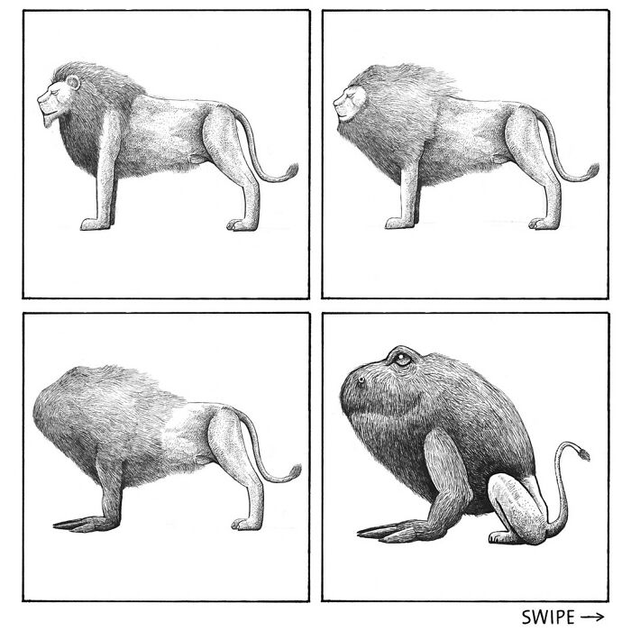 45 Delightfully Silly Scientific Illustrations Of Wildlife From Artist Tim Andraka - Jarastyle