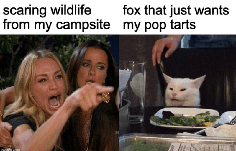 30+ Funny Hiking Memes For Nature Lovers And The People They Drag With Them - Jarastyle