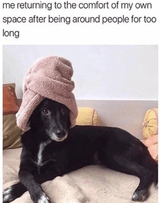 30+ Self Care Memes For Folks Who Know Laughter Heals The Soul - Jarastyle