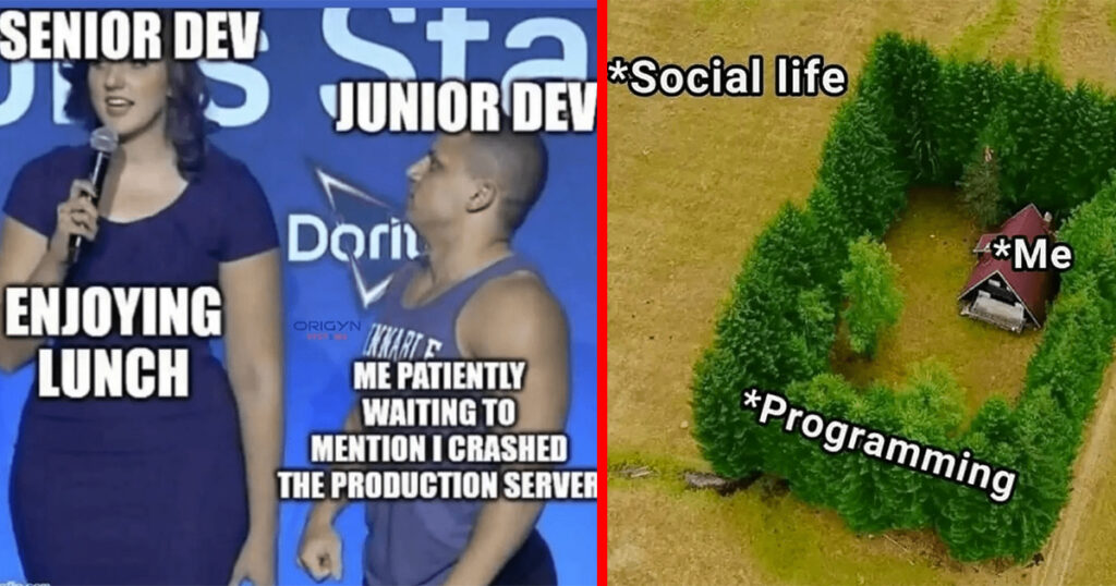 40 Funniest Coding Memes For Programers Who Live Life Between The Code