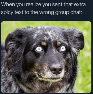 45 Funny Animal Memes From This Week To Keep You Laughing March 29 2024 45-funny-animal-memes-from-this-week-to-keep-you-laughing-march-29-2024