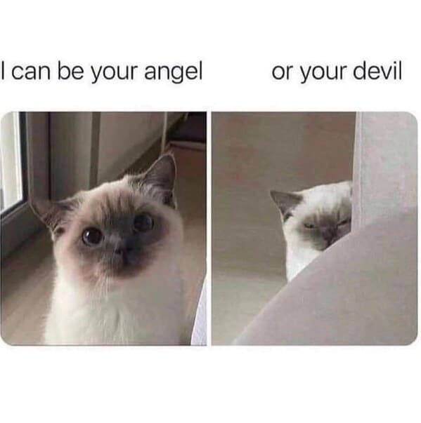 can-be-angel-or-devil.jpg