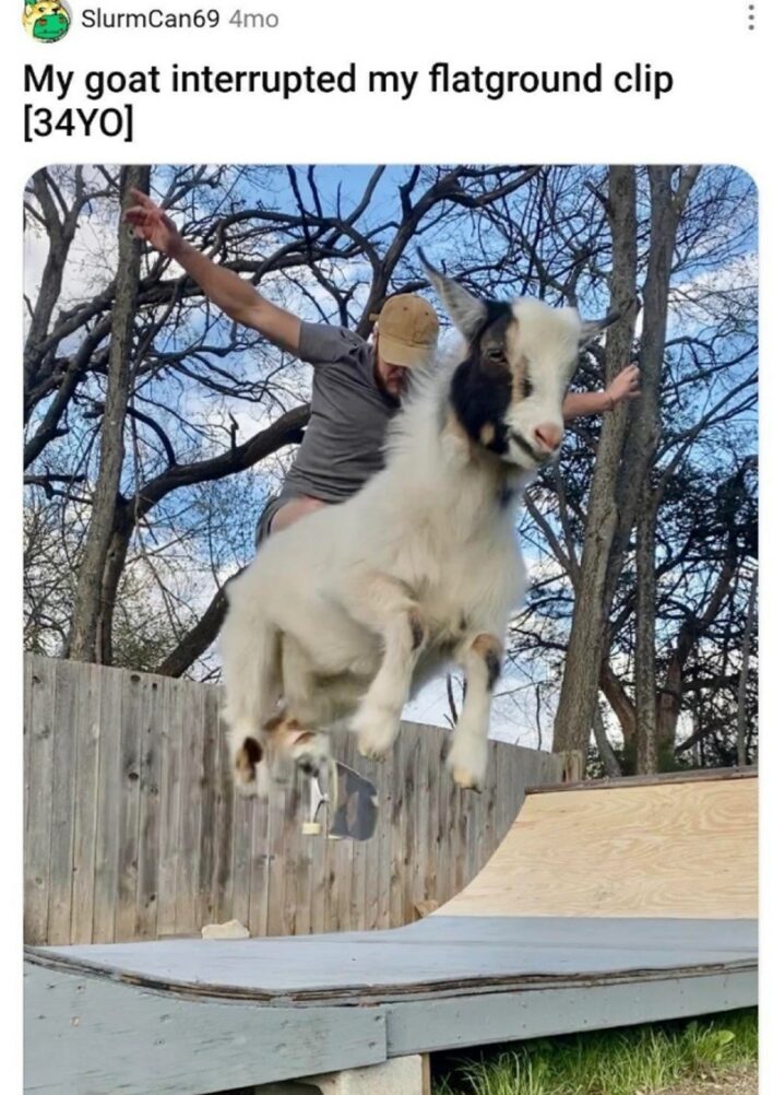 45 Of The Funniest Reddit Posts From This Week (March 15, 2024)