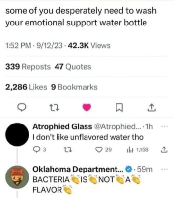 30+ Hilarious Hydration Memes To Celebrate Your Emotional Support Water ...