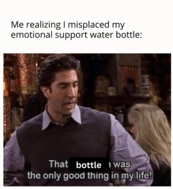 30+ Hilarious Hydration Memes To Celebrate Your Emotional Support Water ...