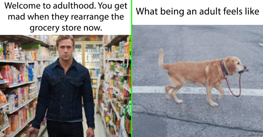 45 Hilariously Relatable Adulting Memes To Survive This Week's Madness ...