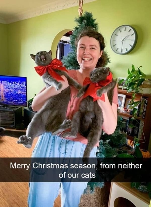 person-1-d-merry-christmas-season-neither-our-cats-wholesome-heartwarming-cat-snapchats.jpg
