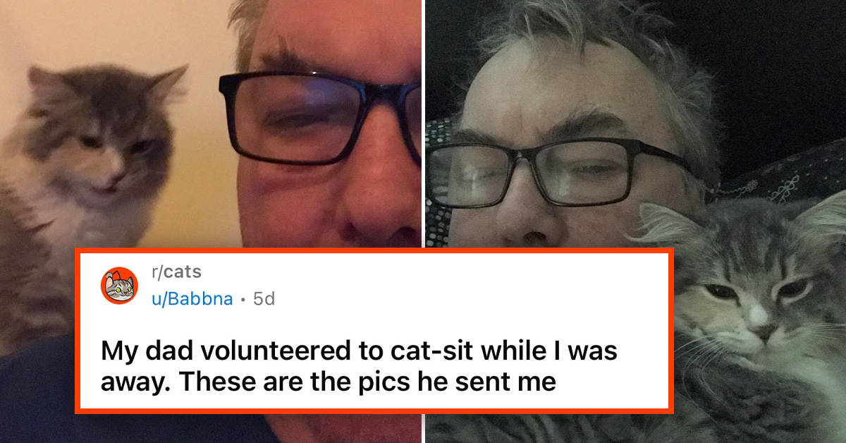 Wholesome Boomer Dad Shares Hilarious Photo Updates While Cat-Sitting ...