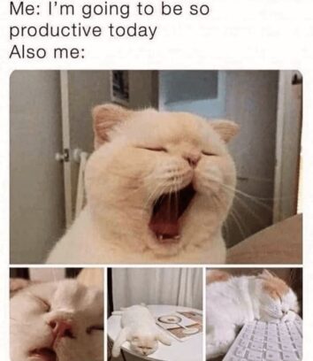 45 Funniest Cat Memes Of The Week Guaranteed To Make You Purr With ...