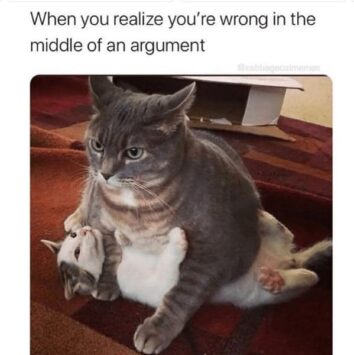 45 Funniest Cat Memes Of The Week Guaranteed To Make You Purr With ...