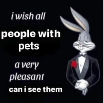 40 Funniest Animal Memes That'll Make Your Week Instantly Better (April