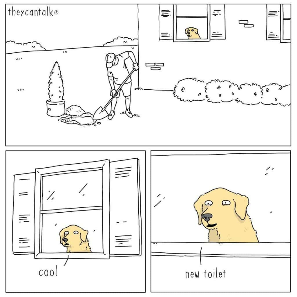 40 Funny Comics About Animals In Relatable Situations From 