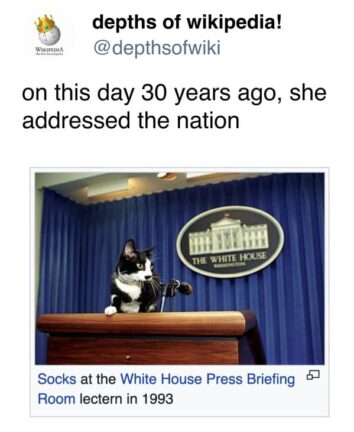 40 Hilarious Out-Of-Context Posts From The Depths Of Wikipedia