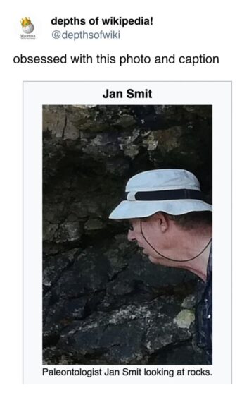 40 Hilarious Out-Of-Context Posts From The Depths Of Wikipedia