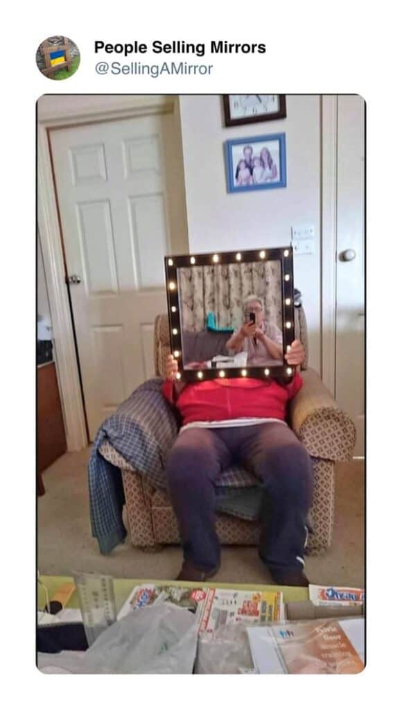 35+ Ridiculously Funny Mirror Selling Attempts By Sellers