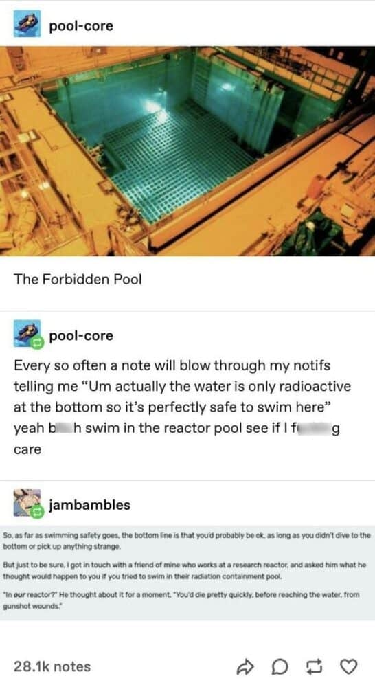 50 Best Tumblr Posts Of All Time That'll Have You Scrolling for More