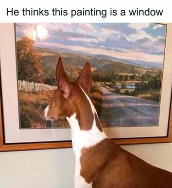 45 Funny Dog Memes That Will Have You Howling With Laughter (May 6, 2024)