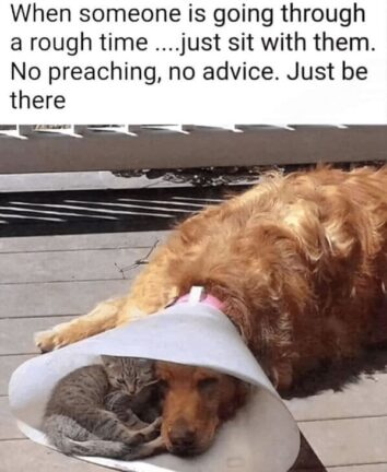 40 Paw-Sitively Funny Animal Memes To Kick Off Your Weekend Right (May