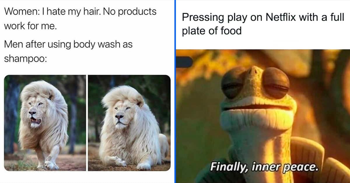 40 All-Too Relatable Memes That We Felt In Our Bones This Week (May 16 ...