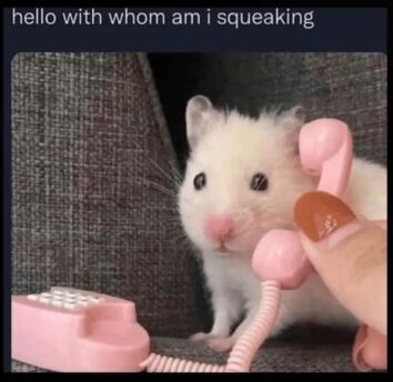 45 Animal Memes That Will Make Your Day Pawsitively Purrfect (May 17, 2024)