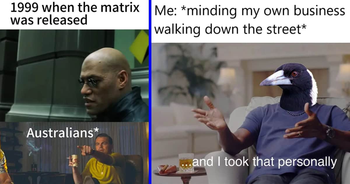 38 Australian Memes With That Special Down Under Humor