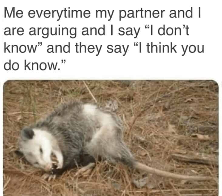 40 Healthy Relationship Memes For Couples Who Laugh Together (June 17 ...