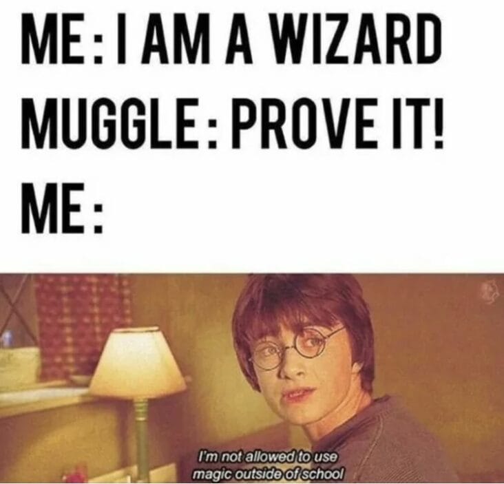 25 Funniest Harry Potter Memes Delivered By Owl This Week (June 4, 2024)