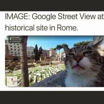 40 Funny Cat Memes That Will Make Your Day Purr-Fectly Amusing (June 18 ...