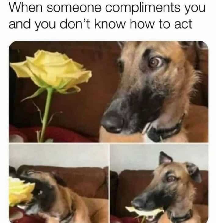 40 Funny Philosophy Memes From "Disturbing Book Club" That Will Make