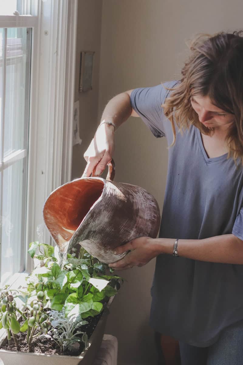 woman watering plant beside window