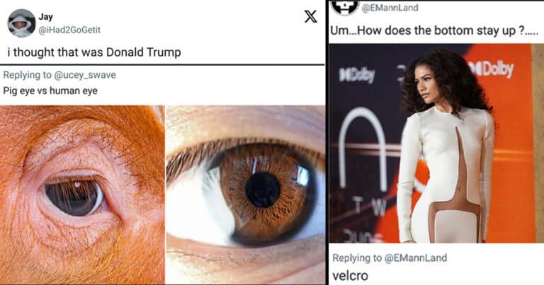 50 Funniest Comments We Couldn’t Stop Laughing At This Month (July 2024)