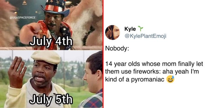 30+ Funny Fireworks Memes To Ignite Some Laughter (July 4, 2024)