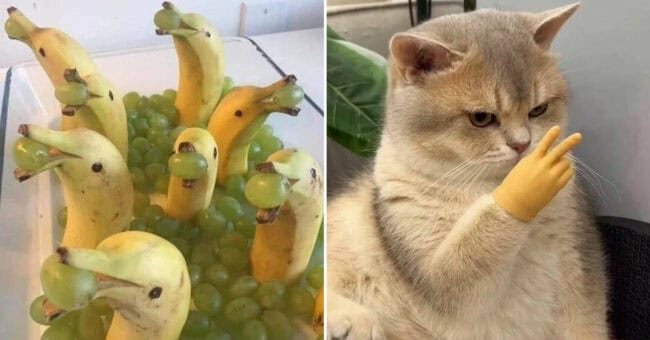 45 Funny And/Or Random Pictures To Spice Up Your Afternoon Scroll (July ...