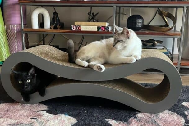 40 Cool Pet Inventions Bound To Make You The Envy Of Every Pet Parent ...