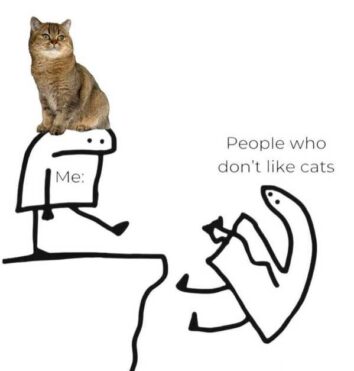 40 Cat Memes So Funny, Even Your Cat Would Laugh If They Could (August 27, 2024)