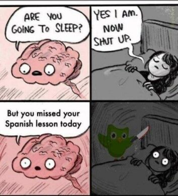 30+ Funniest Duolingo Memes For Cunning Linguists Terrified Of Losing ...