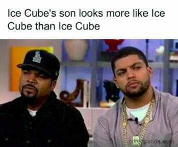 50 Funny Celebrity Memes That Are Hilariously On Point