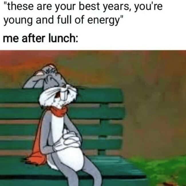 30 funny lunch memes for hungry folks who eat what the packed by 10am