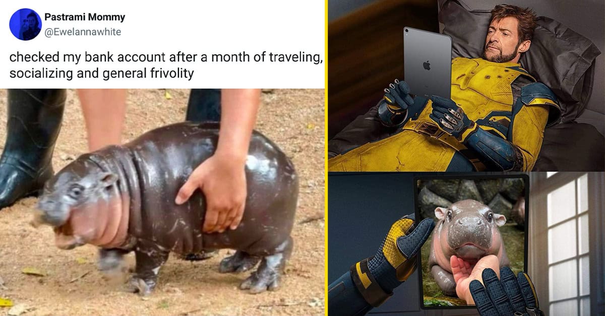 40 Funny Moo Deng Memes That Show Why This Baby Hippo Is Everyone's