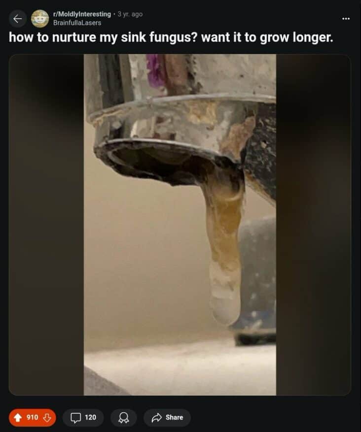 42 Of The Funniest Pictures From The Depths Of Reddit This Week