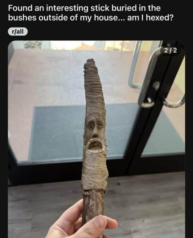 40 Funniest Reddit Pictures From The Depths Of The Subreddits This Week