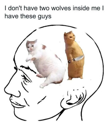 45 Funny Cat Memes That Will Make You Purr With Laughter October 1 2024 45-funny-cat-memes-that-will-make-you-purr-with-laughter-october-1-2024