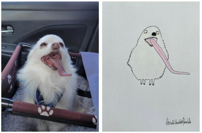 40 Terrible Drawings Of Beloved Animals From 